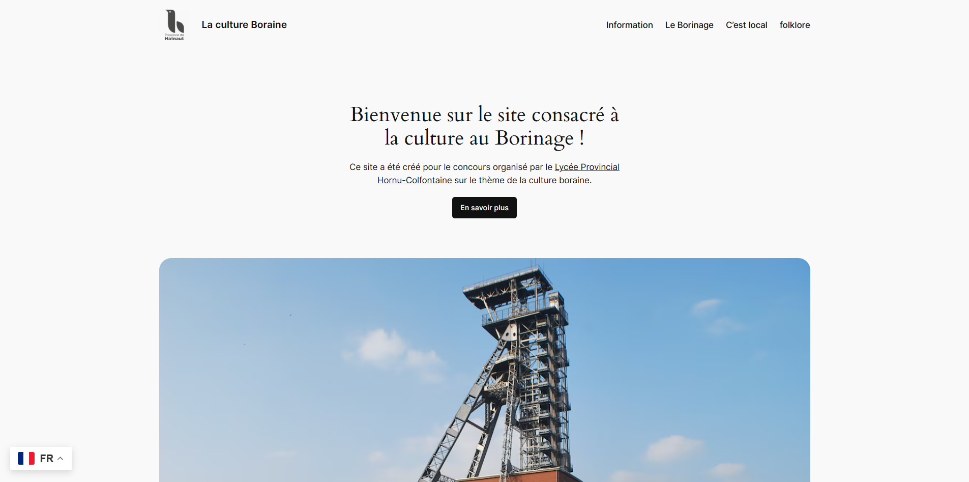 Aperçu du site culture-boraine.be